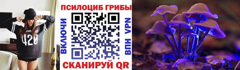 наркота  Курганинск  Галлюциногенные грибы прущие грибы 