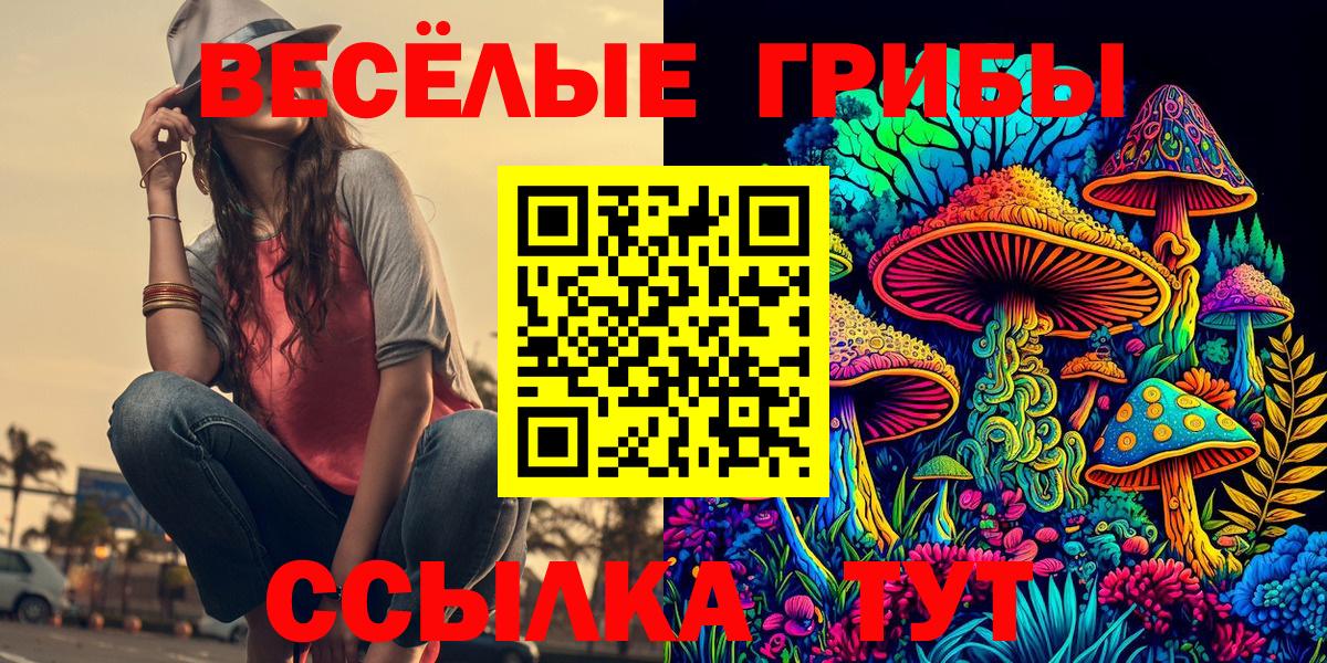 Псилоцибиновые грибы GOLDEN TEACHER Курганинск