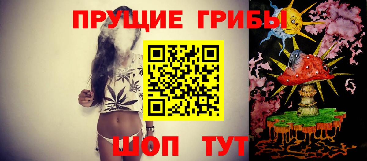 Галлюциногенные грибы GOLDEN TEACHER  Вход с VPN  Курганинск 