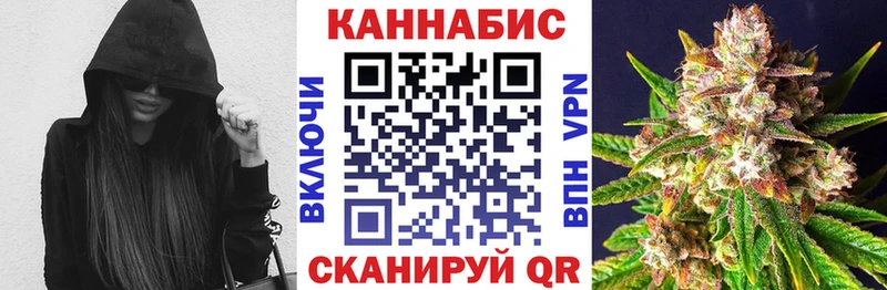 Каннабис сатива  Курганинск 