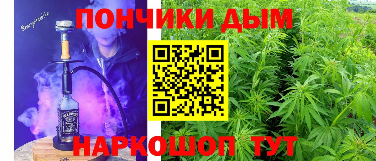 Бошки марихуана ГИДРОПОН Курганинск